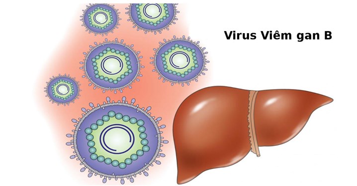 Điều trị viêm gan B, viêm gan B, virus viêm gan B