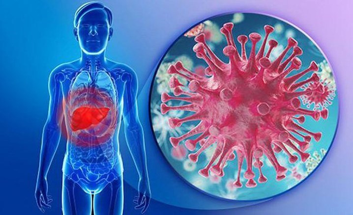 Ảnh: Viêm gan B có khả năng lây nhiễm cao gấp 100 lần HIV