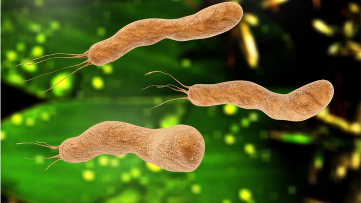 Người bệnh vẫn có thể tái nhiễm vi khuẩn HP nếu tiếp xúc với các nguồn lây nhiễm