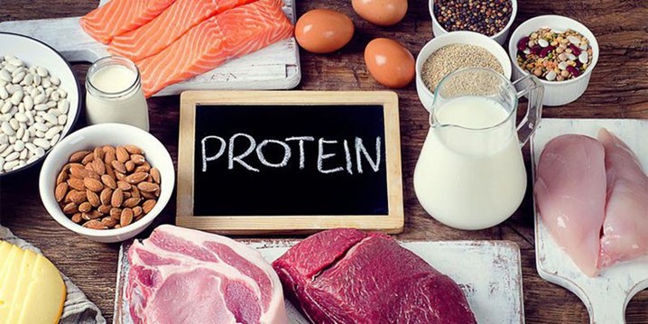 Các chất chứa protein