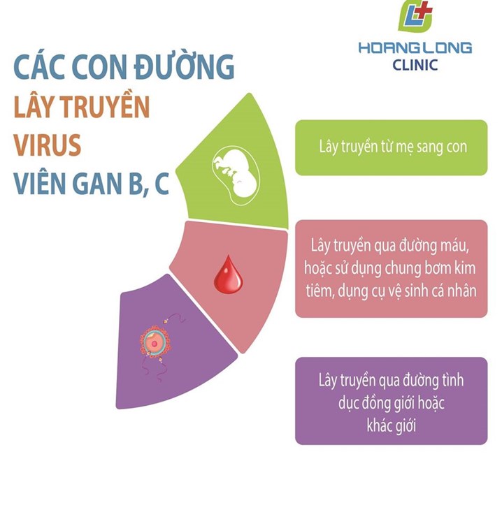 viêm gan B, xét nghiệm gan, virus HBV, viêm gan B có lây không