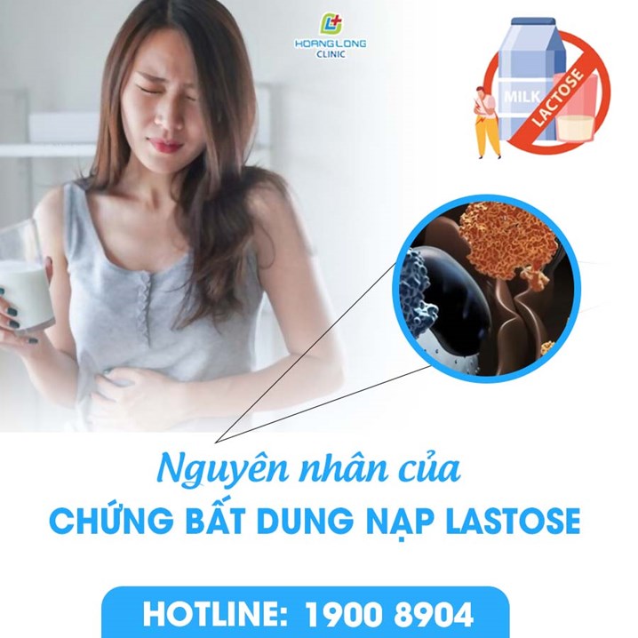 Nguyên nhân của chứng bất dung nạp lastose