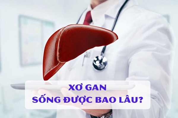 xơ gan sống bao lâu, xơ gan sống được bao lâu, xơ hóa gan, xơ gan giai đoạn cuối