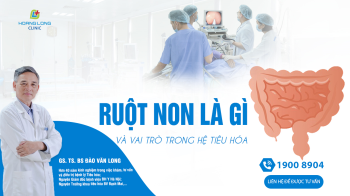 Ruột non là gì và có vai trò như thế nào trong hệ tiêu hoá?