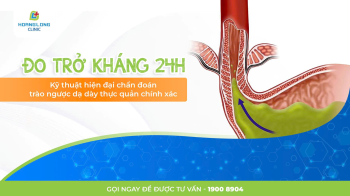 Đo pH trở kháng 24h: Kỹ thuật hiện đại chẩn đoán trào ngược dạ dày thực quản chính xác