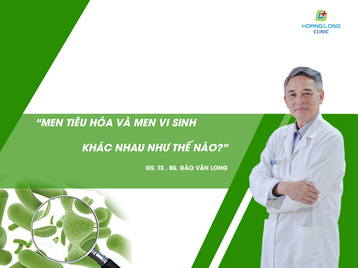 Men vi sinh và men tiêu hoá khác nhau thế nào?